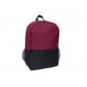 Dual Tone backpack