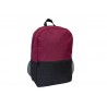 Dual Tone backpack