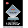 Exclusive Crystal Plaque