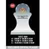 Exclusive Crystal Plaque