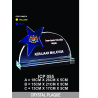 Crystal Trophy with Eco-Friendly Everlasting Direct UV Emboss Printing & Inner Laser