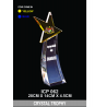 Crystal Trophy with Eco-Friendly Everlasting Direct UV Emboss Printing & Inner Laser