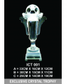 Exclusive Crystal Trophy