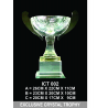 Exclusive Crystal Trophy