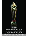 Exclusive Crystal Trophy