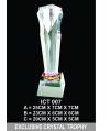 Exclusive Crystal Trophy