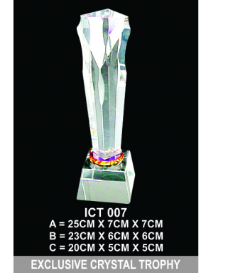 Exclusive Crystal Trophy