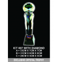 Exclusive Crystal Trophy