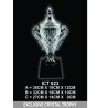 Exclusive Crystal Trophy