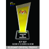 Exclusive Crystal Trophy