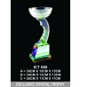 Exclusive Crystal Trophy